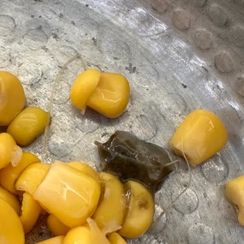 A101 Çokça Marka Mısır Konservesi