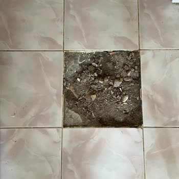 Türkiye Sigorta Sorun Çözmüyor Sorunun Kendisi