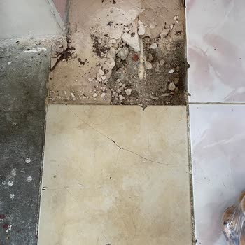 Türkiye Sigorta Sorun Çözmüyor Sorunun Kendisi