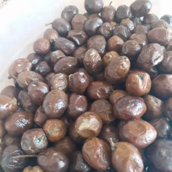 Nermin Hanım Zeytinliği Son Tüketim Tarihi Geçmemiş Zeytinlerin Küflenme Sorunu