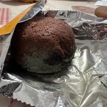 Torku Favorimo Kek Küflü