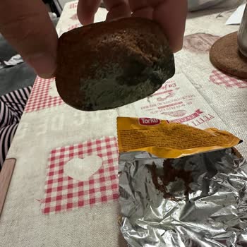 Torku Favorimo Kek Küflü