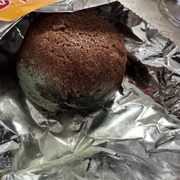 Torku Favorimo Kek Küflü