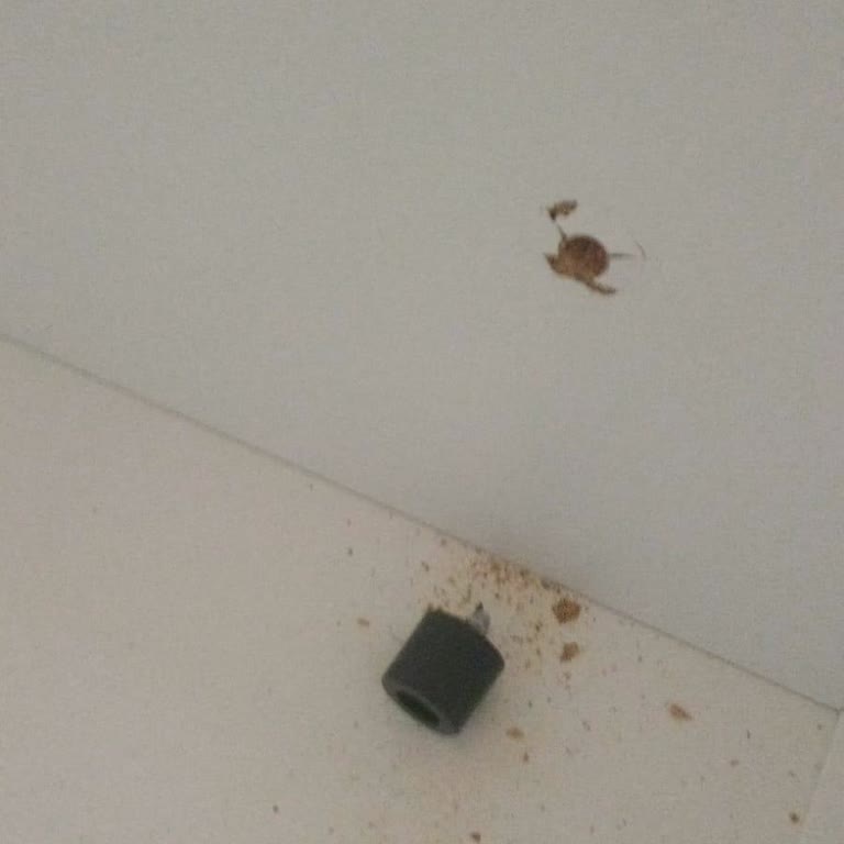 Genç Bebe Baza Kullanılmadan Vidası Düştü