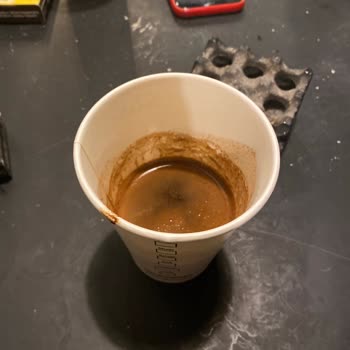 Mackbear Coffee Yalan Ve Kötü İlgi