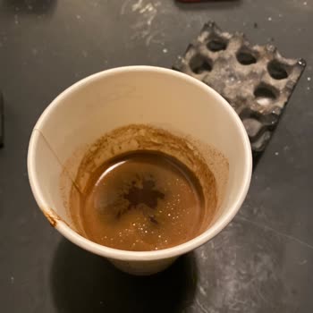 Mackbear Coffee Yalan Ve Kötü İlgi