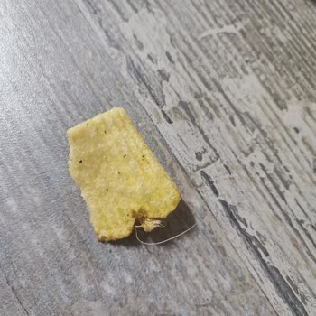 Cipso Cipsinde Farklı Şeyler Çıktı