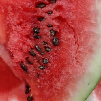 Migros Para İade Mi İstiyorum