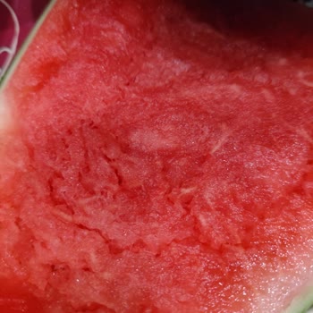 Migros Para İade Mi İstiyorum