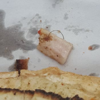 Kokoreççi Hacı Ürünlerinden Kıl Çıktı İlk Değil