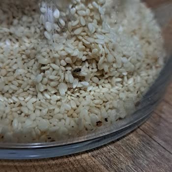 Diyar/Nar Baharat'a Ait Susam İçerisinden Böcek/Kurt Çıktı