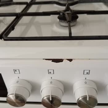 Vestel Yetkili Servis Finlux Fırın Hakkında