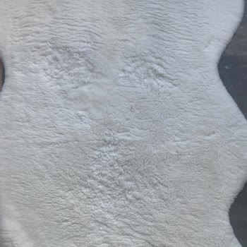 Kalitesine Güvenerek Madame Coco'dan Alışveriş Yapmanın Bedeli