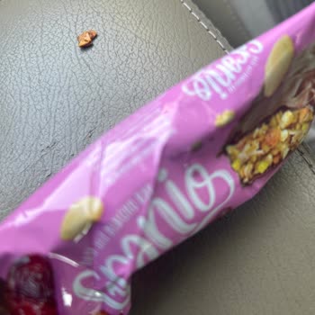 Tarım Kredi Kooperatif Market İçinden Kocaman Kabuk Çıkan Bar