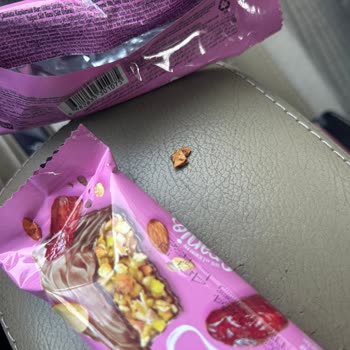 Tarım Kredi Kooperatif Market İçinden Kocaman Kabuk Çıkan Bar