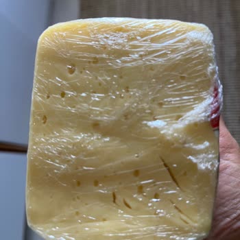 Muratbey Taze Kaşar Peyniri Tadı Ekşi Ve İçi Baloncuk Dolu