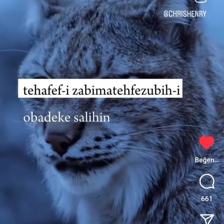 Eunoia Brand Muhatap Yok Mu