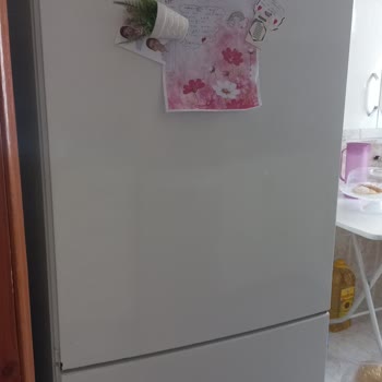 Bosch Car Service Bosch Marka Buzdolabı Sorunu