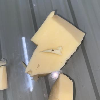 Aro Tost Peyniri Sinek