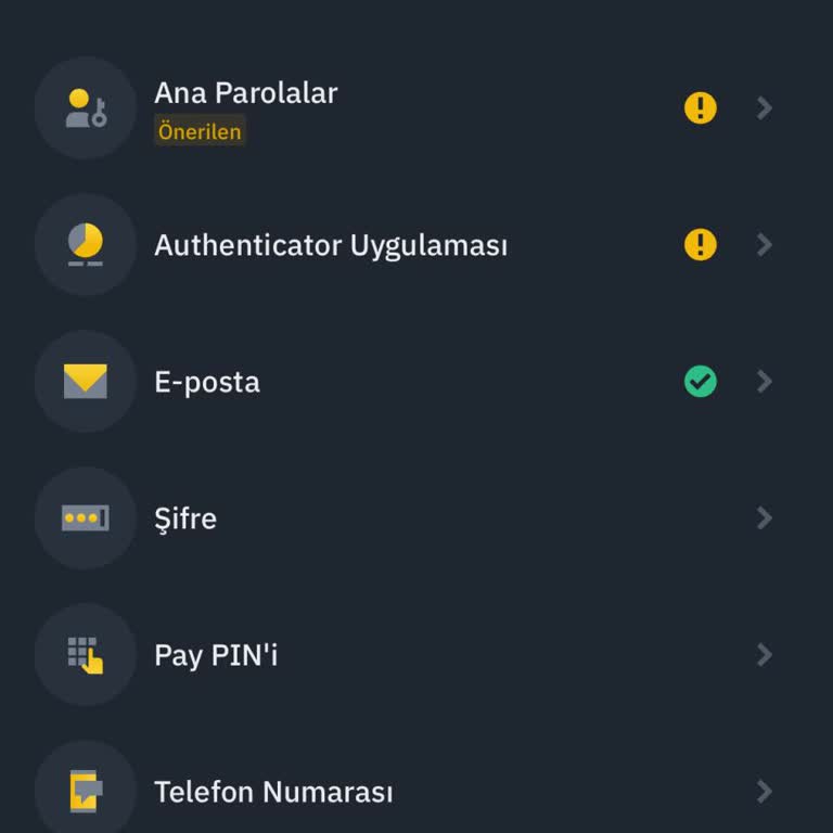 Binance Face ID İle Giriş Yaptım Ama E Postaya Ulaşamıyorum