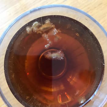 Lipton İce İçinde Bakteriler Dolu