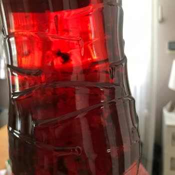 Lipton İce İçinde Bakteriler Dolu