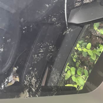 Tesla Model Y Tavan Camı Çatlaması