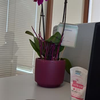 Çiçek Sepeti Görseldeki Ürünün Aynısını Göndermiyor