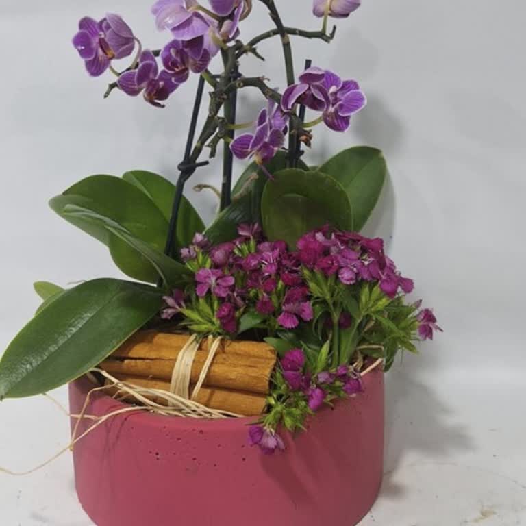 Çiçekte Sanat Sitesinden Verdiğim Çiçek İle Teslim Edilen Ürün Farklı