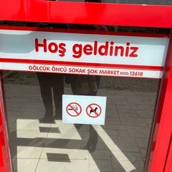 Şok Market. Kedi Lere Öncelik