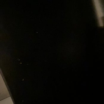 PHILIPS Ev Aletleri Philips Airfryer Kullanıcı Hayal Kırıklığı