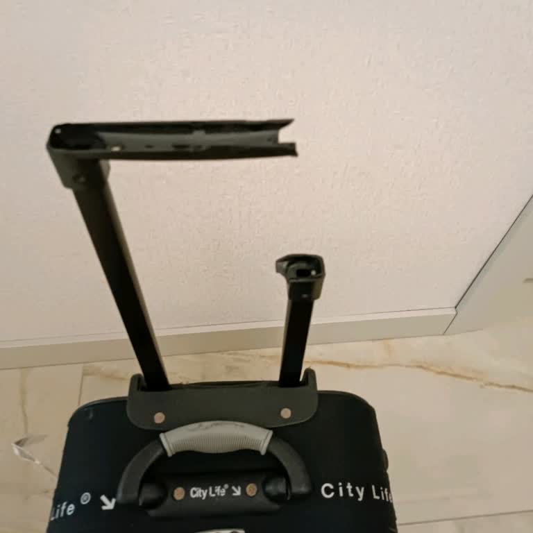 Air Serbia Valiz Hasarı