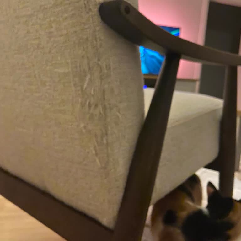 Doğtaş Mobilya Sizin Yaptığınız Resmen İnsan Dalga Geçmek!