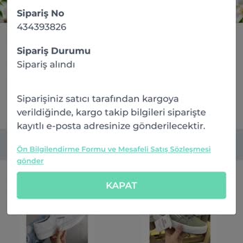 Shopier Siparişim Gelmedi Ne Yapmalıyım