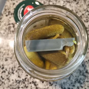 Tat Gıda Tat Marka Turşudan Çıkan Plastik Cisim