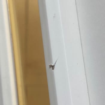 Doğa Mobilya Kurulum Süreci Çok Uzun Sürdü!