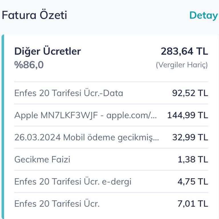Apple Ödemesi Gerçekleşmiş Ve Faturama Yansıtılıyor