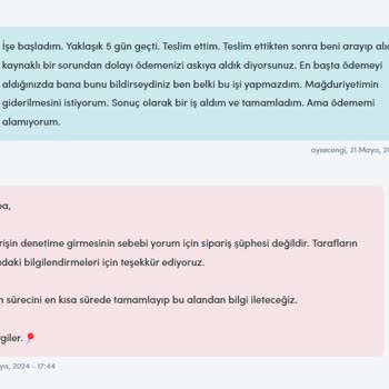 Bionluk Teslim Ettiğim İşin Bakiyesine El Koydu!