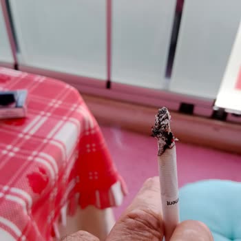 Philip Morris Bize Kaliteli Tütün Diye Odun Parçaları İçiriyor