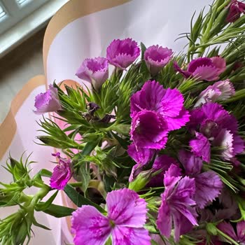 Çiçek Sepeti Taze Çiçek Değil Pörsümüş Hatta Kurumuş Çiçek Gönderdi.