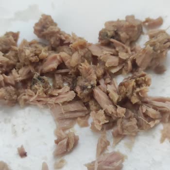 Şok Marketler Sağlıksız Hijyensiz Ürün