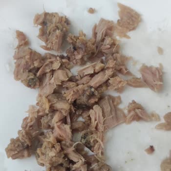 Şok Marketler Sağlıksız Hijyensiz Ürün