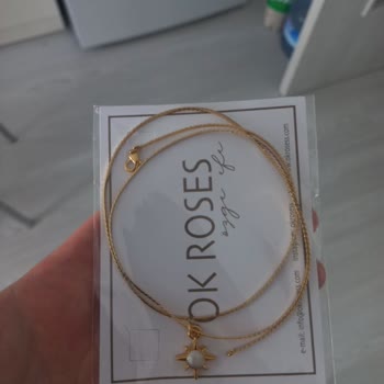 Ok Roses  Mesajıma Dönüş Yapılmadı!