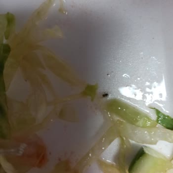 Gözde 2 Pide Ve Lahmacun Salonu Salatanın İçinde Böcek Vardı