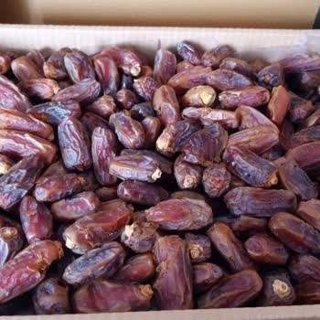 Müftü Bey Hac & Umre Malzemeleri Müftü Bey Sitesi.