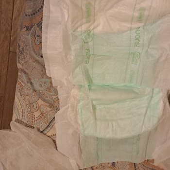 Evony Yetişkin Hasta Bezi