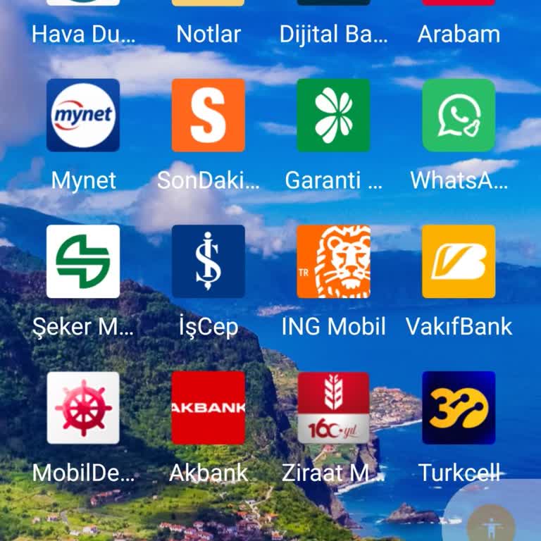 Ticket Restaurant Bakiye Sorgulama Yapamıyorum