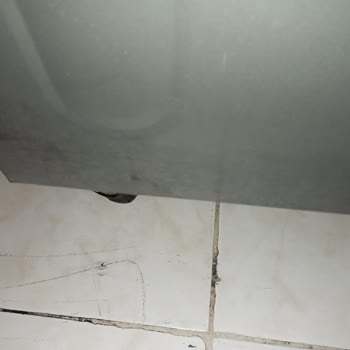 Beko Bulaşık Makinesi Renk Değişimi