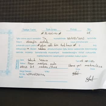 Dfds Denizcilik Sektöründe Usulsüz İş Pratikleri