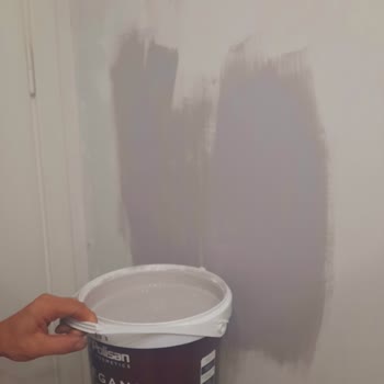 Polisan Elegans Boya Gizemli Gri Renk Asla Gri Değil... Lila Ve Mor